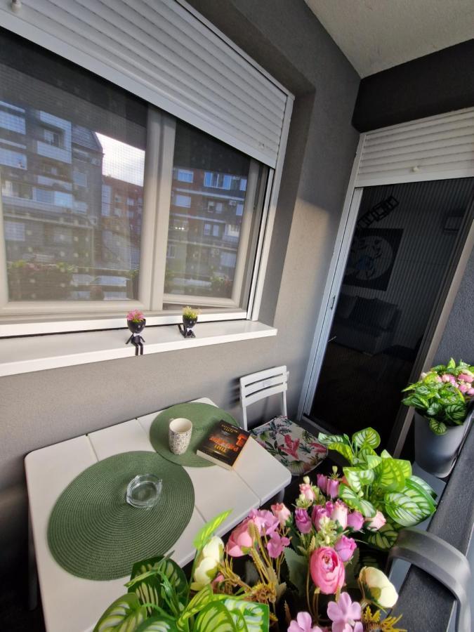 Apartman Astra 斯雷姆斯卡米特罗维察 外观 照片