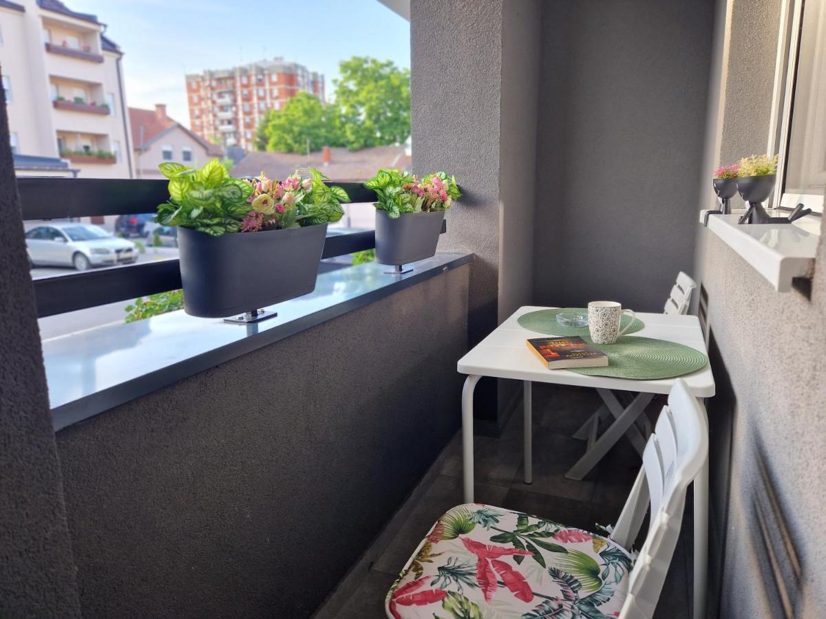 Apartman Astra 斯雷姆斯卡米特罗维察 外观 照片